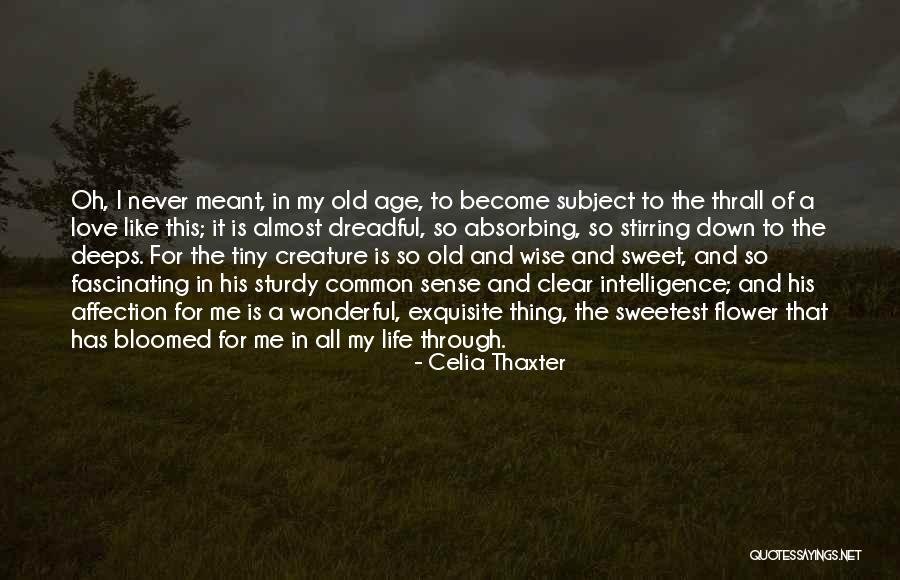 Fascinating Love Quotes By Celia Thaxter Fascinating Love Quotes By Celia Thaxter