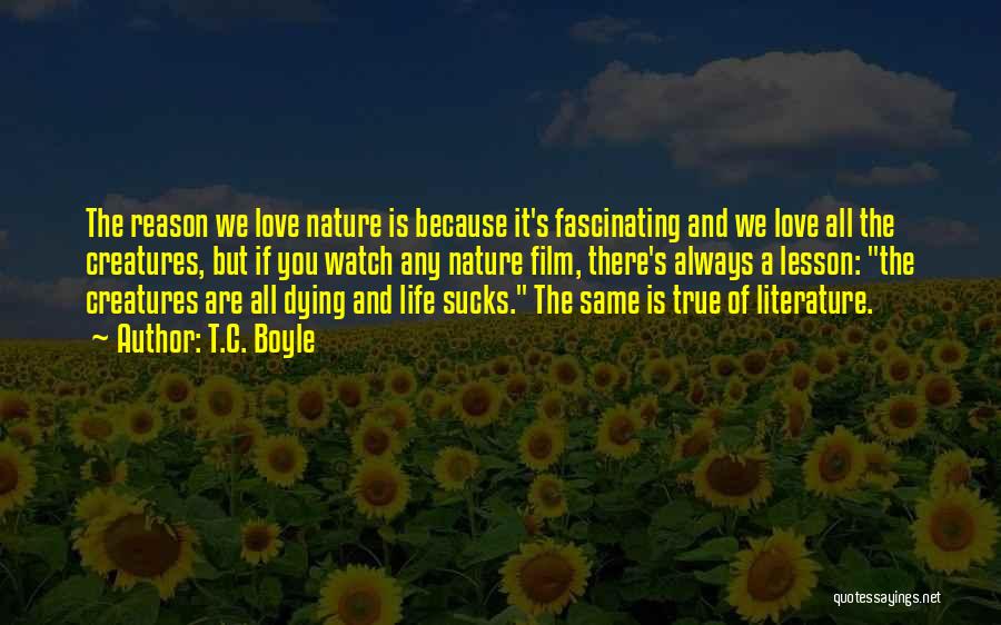 Fascinating Nature Quotes By T.C. Boyle