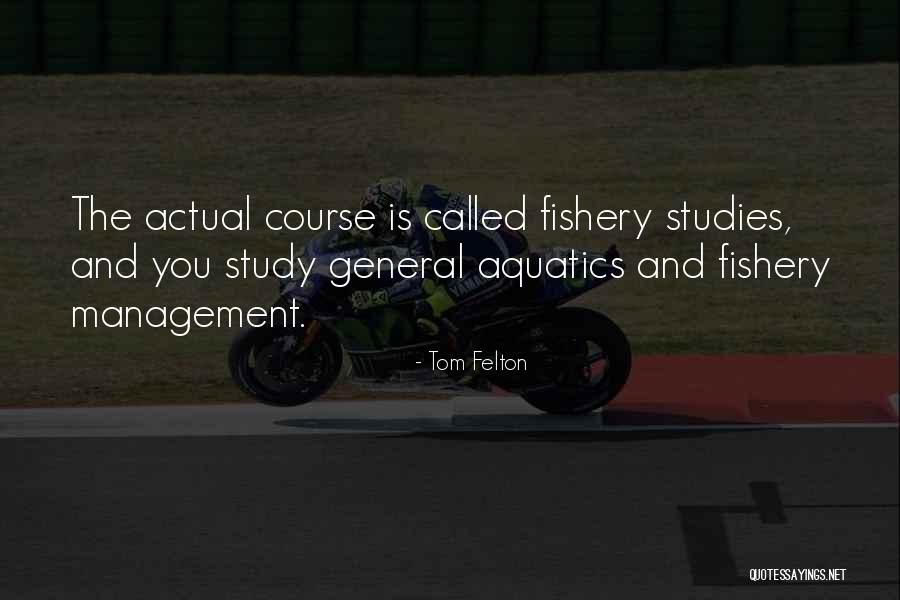 Fascination For Sale Quotes By Tom Felton Fascination For Sale Quotes By Tom Felton