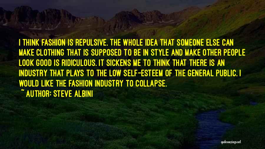 Fashion And Style Quotes By Steve Albini