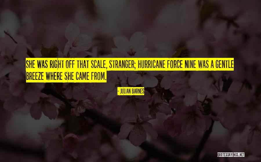 Fashion In The 1800s Quotes By Julian Barnes