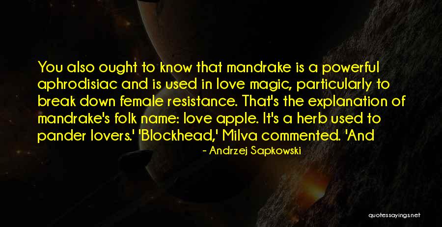 Fasolo Electric Quotes By Andrzej Sapkowski Fasolo Electric Quotes By Andrzej Sapkowski