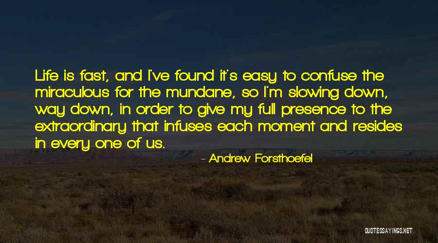 Fast And Easy Quotes By Andrew Forsthoefel Fast And Easy Quotes By Andrew Forsthoefel