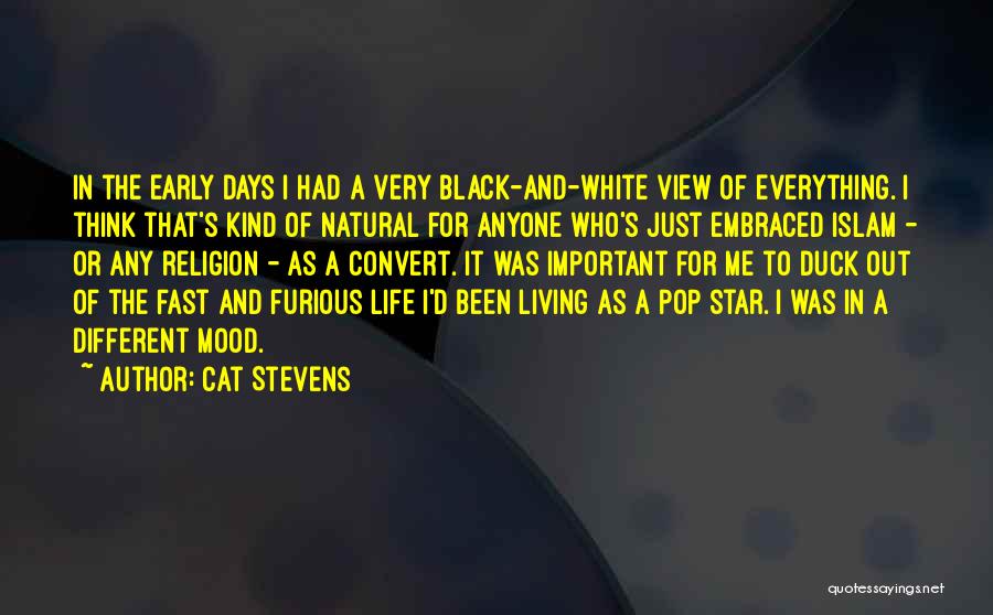 Fast And Furious Life Quotes By Cat Stevens