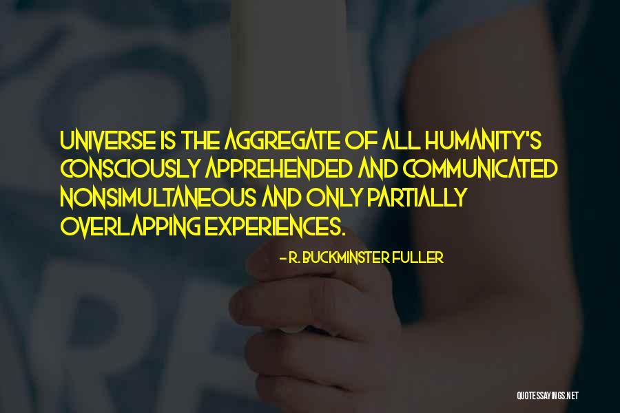 Fast Burning Metabolism Quotes By R. Buckminster Fuller
