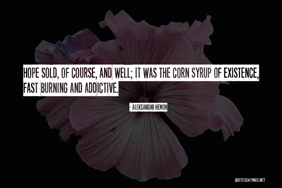 Fast Burning Quotes By Aleksandar Hemon Fast Burning Quotes By Aleksandar Hemon