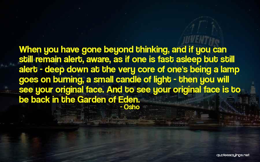Fast Burning Quotes By Osho Fast Burning Quotes By Osho