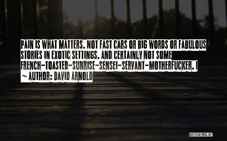 Fast Cars Quotes By David Arnold