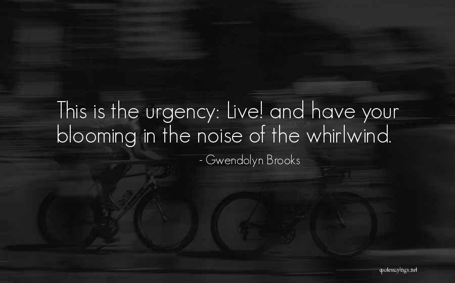 Fast Delivery Quotes By Gwendolyn Brooks Fast Delivery Quotes By Gwendolyn Brooks