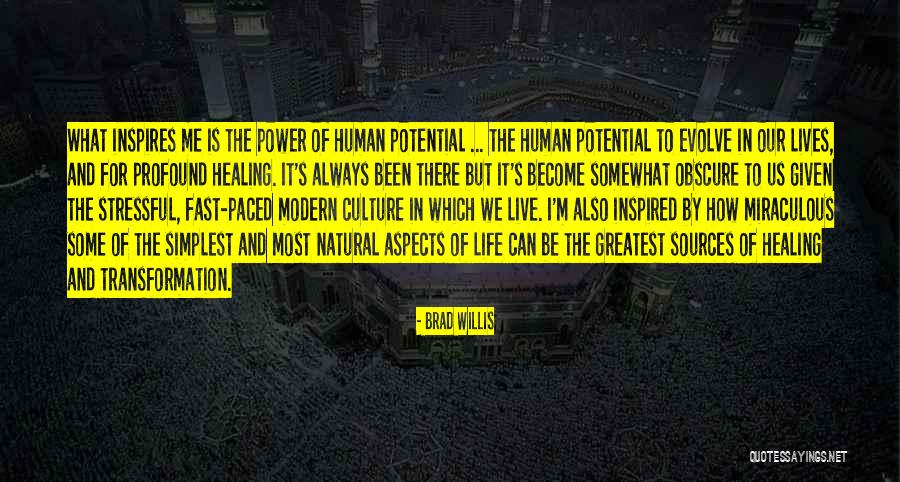 Fast Life Quotes By Brad Willis Fast Life Quotes By Brad Willis