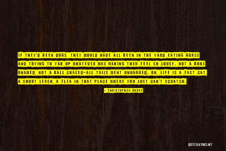 Fast Life Quotes By Christopher Moore Fast Life Quotes By Christopher Moore