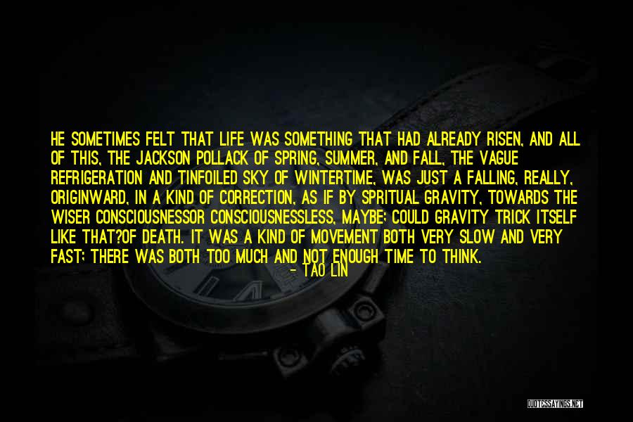 Fast Life Quotes By Tao Lin Fast Life Quotes By Tao Lin