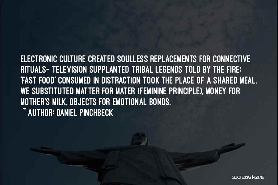 Fast Money Quotes By Daniel Pinchbeck