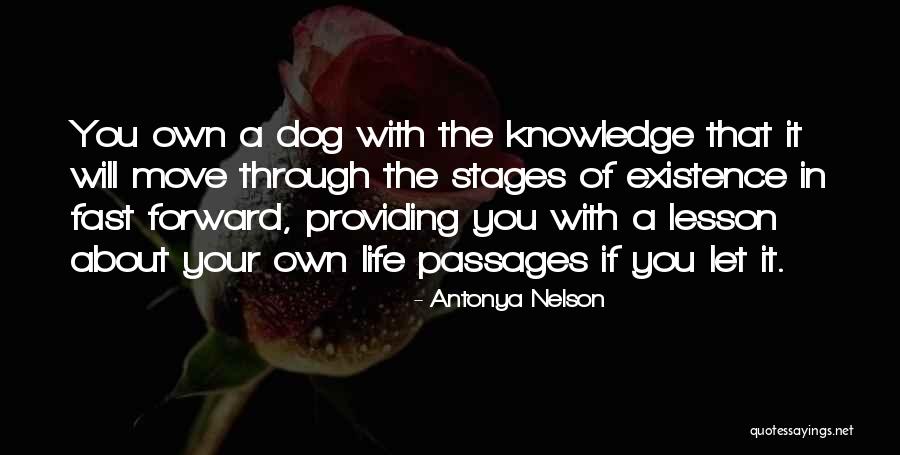 Fast Moving Life Quotes By Antonya Nelson Fast Moving Life Quotes By Antonya Nelson