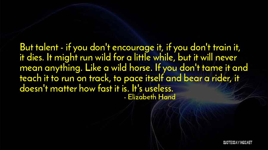 Fast Pace Quotes By Elizabeth Hand Fast Pace Quotes By Elizabeth Hand