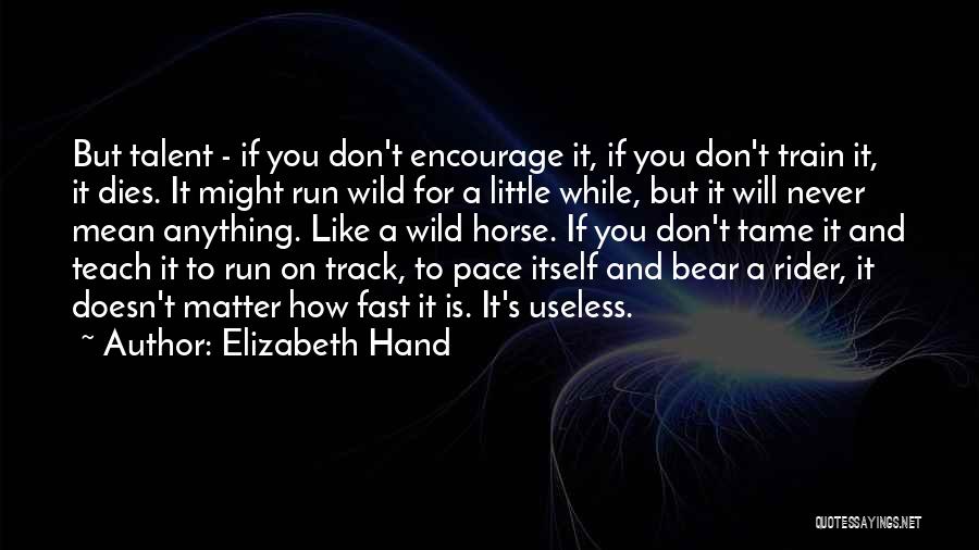 Fast Rider Quotes By Elizabeth Hand