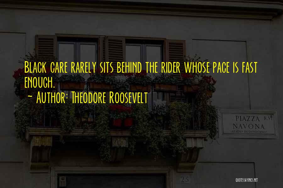 Fast Rider Quotes By Theodore Roosevelt