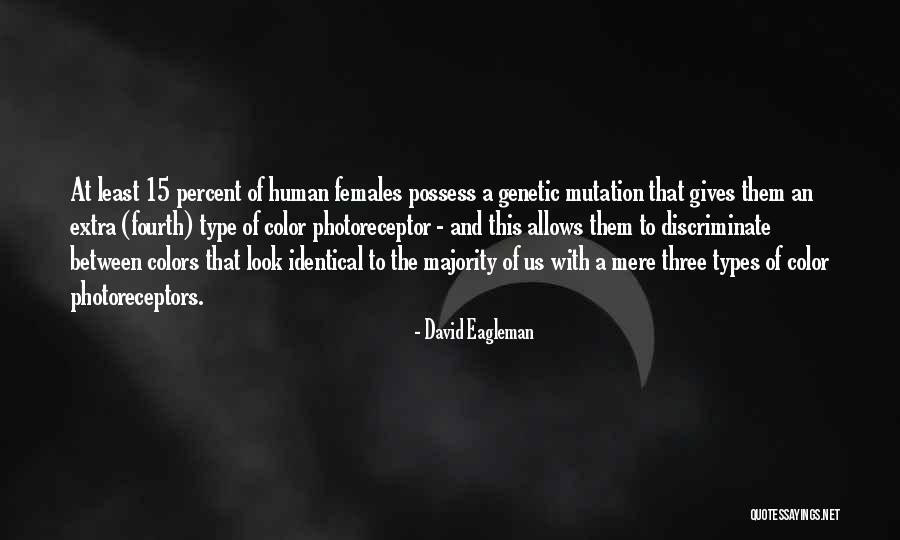 Fastener Quotes By David Eagleman Fastener Quotes By David Eagleman