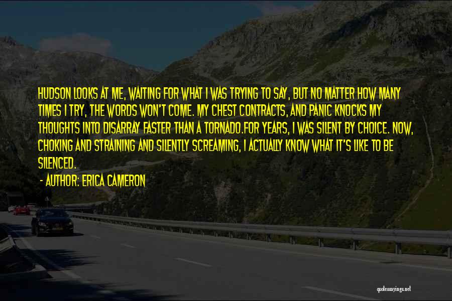 Faster Than You Can Say Quotes By Erica Cameron