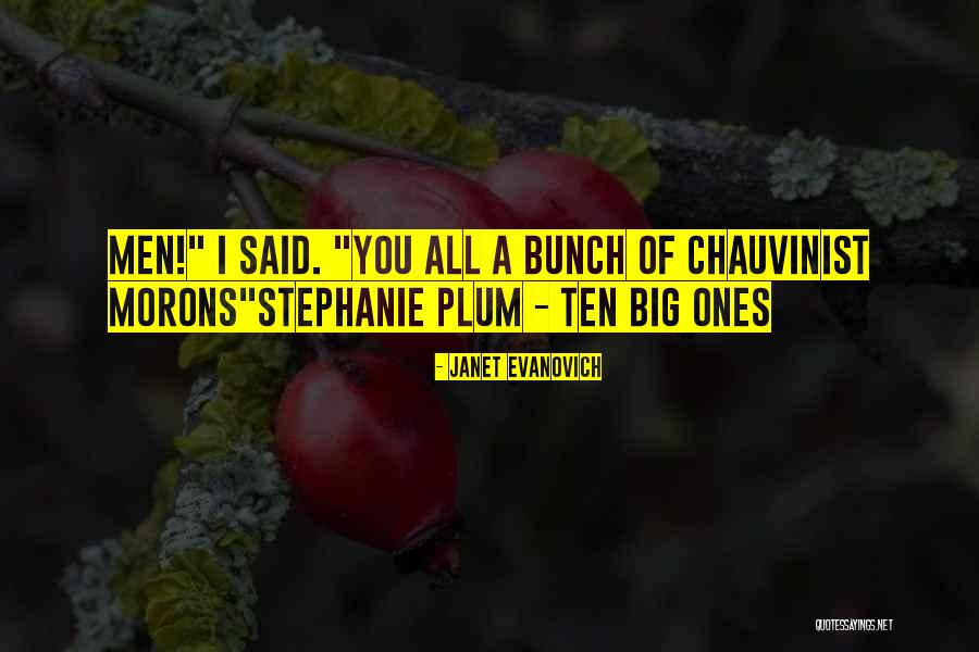 Fastest Youtube Downloader Quotes By Janet Evanovich