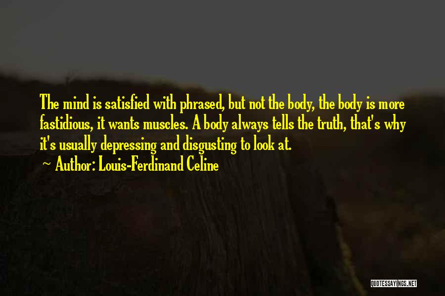 Fastidious Quotes By Louis-Ferdinand Celine