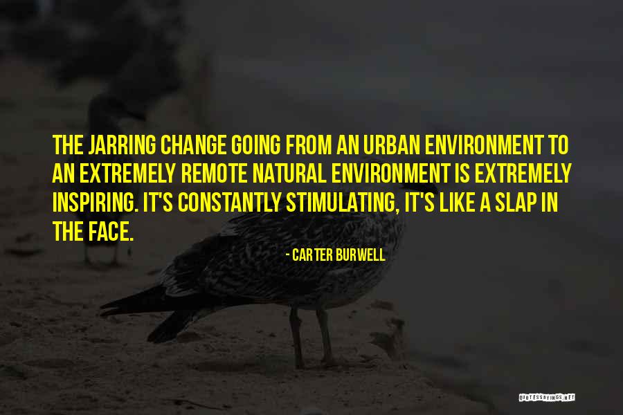 Fastinos Albuquerque Quotes By Carter Burwell Fastinos Albuquerque Quotes By Carter Burwell