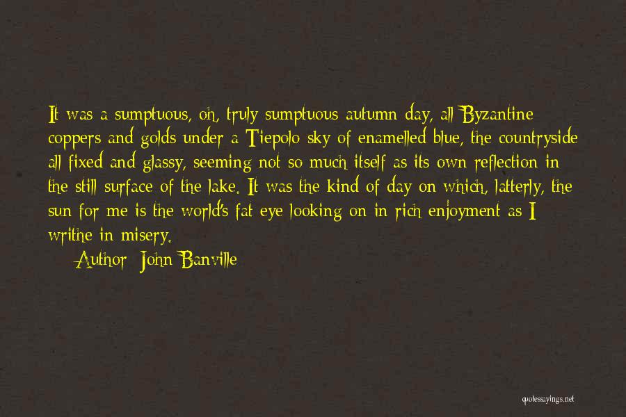 Fat And Beautiful Quotes By John Banville