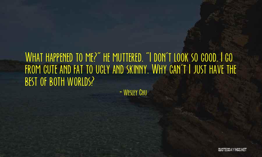Fat And Ugly Quotes By Wesley Chu Fat And Ugly Quotes By Wesley Chu
