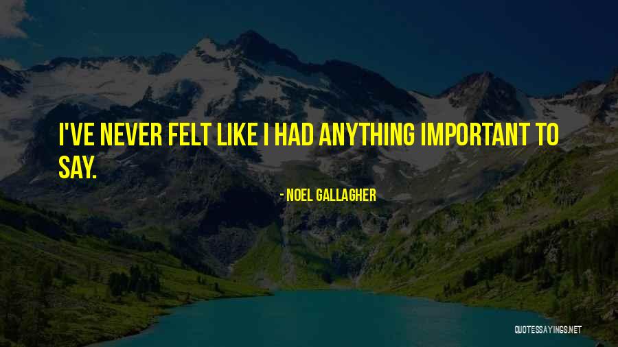 Fat Justin Quotes By Noel Gallagher Fat Justin Quotes By Noel Gallagher