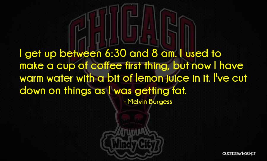 Fat Man Bomb Quotes By Melvin Burgess Fat Man Bomb Quotes By Melvin Burgess