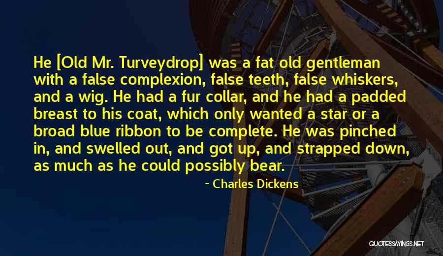 Fat Quotes By Charles Dickens