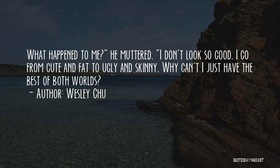 Fat To Skinny Quotes By Wesley Chu