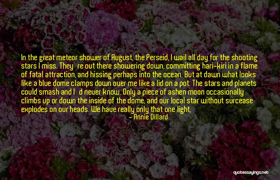 Fatal Attraction Quotes By Annie Dillard Fatal Attraction Quotes By Annie Dillard