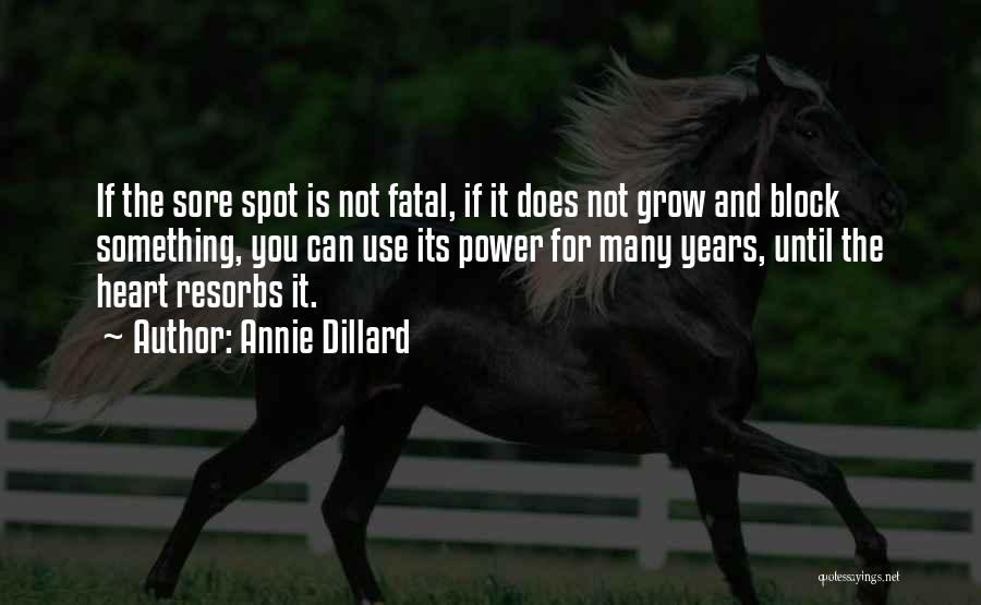 Fatal Quotes By Annie Dillard