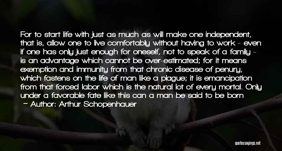 Fate And Free Will Quotes By Arthur Schopenhauer
