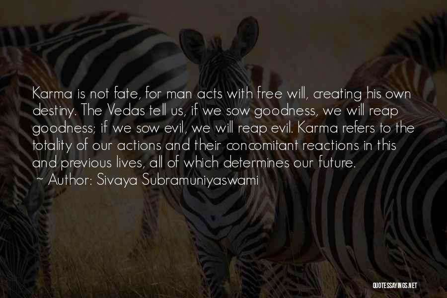 Fate Karma And Destiny Quotes By Sivaya Subramuniyaswami