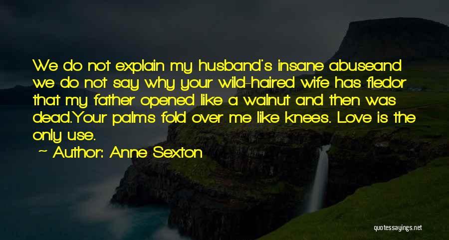 Father Abuse Quotes By Anne Sexton