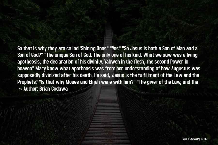 Father After Death Quotes By Brian Godawa