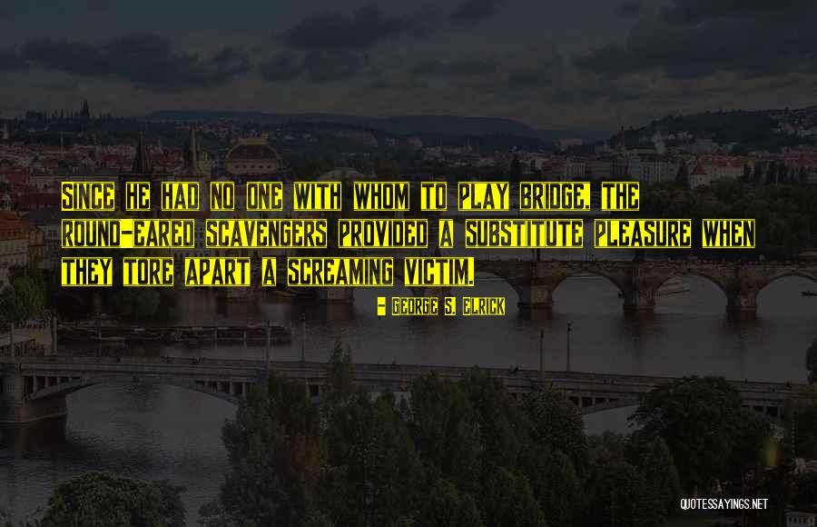 Father Amadi Quotes By George S. Elrick Father Amadi Quotes By George S. Elrick