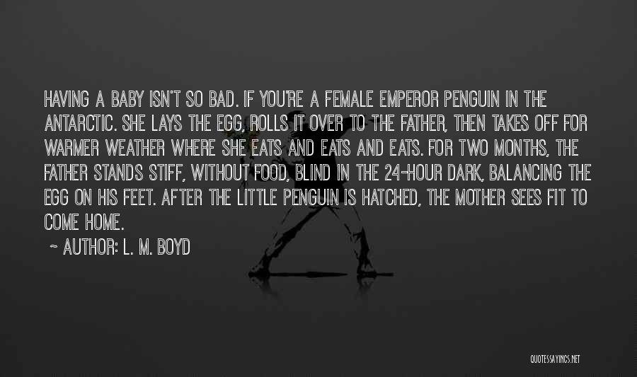 Father And Baby Quotes By L. M. Boyd