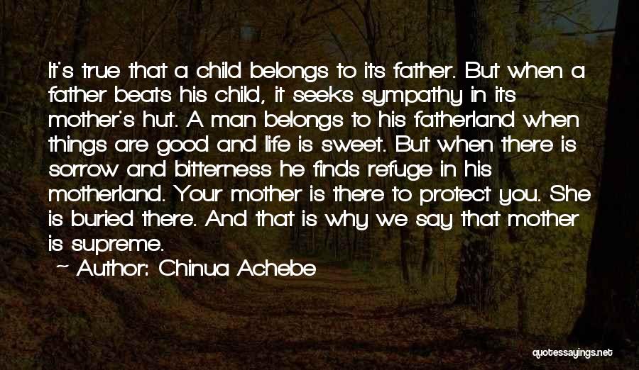 Father And Child Quotes By Chinua Achebe