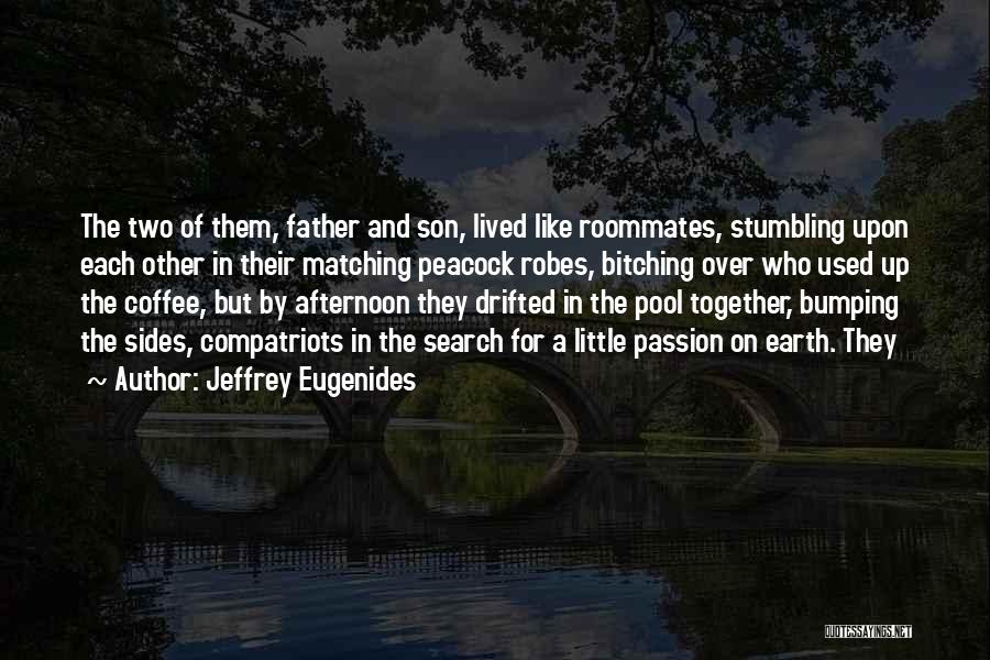 Father And Little Son Quotes By Jeffrey Eugenides