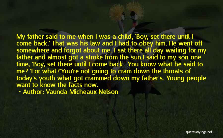 Father And Son In Law Quotes By Vaunda Micheaux Nelson