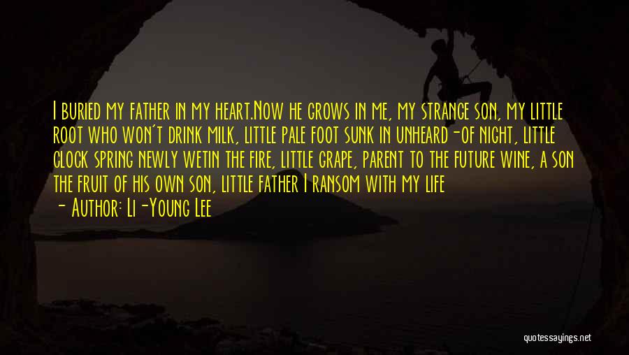 Father And Son In Night Quotes By Li-Young Lee