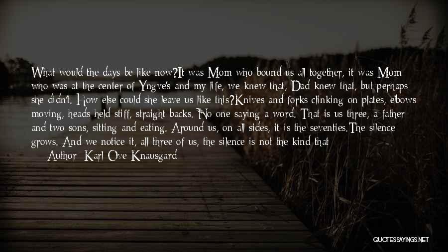 Father And Two Sons Quotes By Karl Ove Knausgard