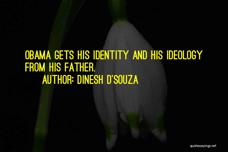 Father D'souza Quotes By Dinesh D'Souza