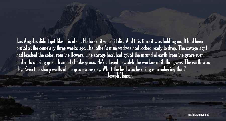 Father D'souza Quotes By Joseph Hansen Father D'souza Quotes By Joseph Hansen