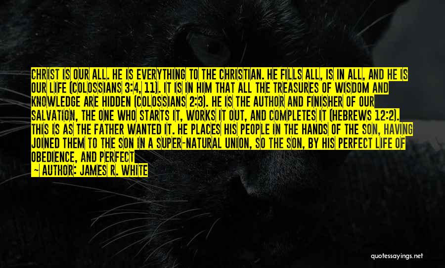 Father Having A Son Quotes By James R. White