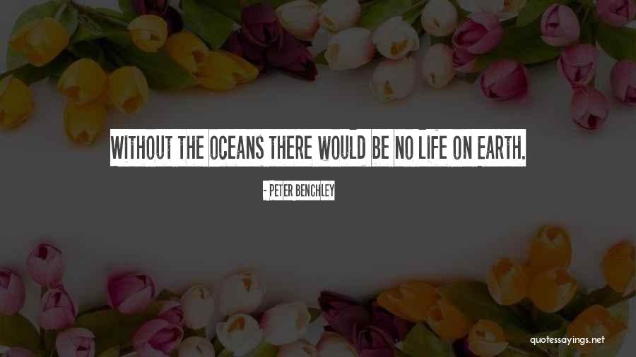 Father Hubley Quotes By Peter Benchley