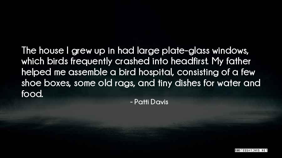 Father In Hospital Quotes By Patti Davis